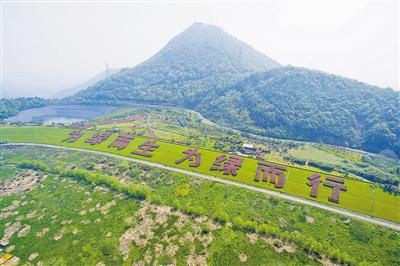 图为:天子岭生态园区。官方供图