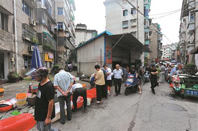 渔种场路鱼市火爆