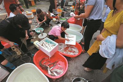 渔种场路鱼市火爆