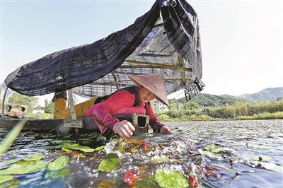 汤浦镇多少人口_北流隆盛镇有多少人口(2)