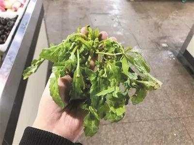 荠菜