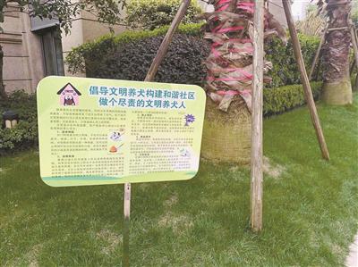 记者 任彦 通讯员 周霞群 周晨静