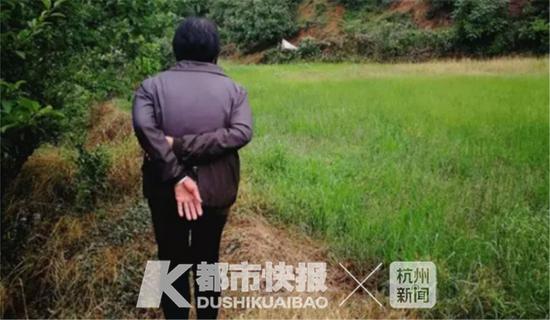屠媽媽走在田間小路