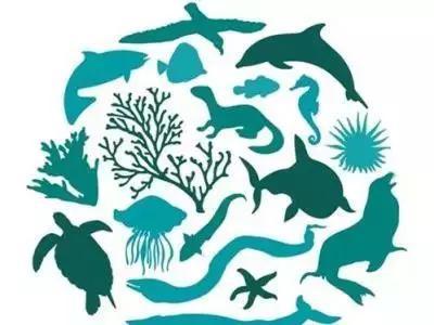 “5·22国际生物多样性日”宣传活动走进仙居