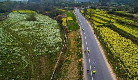 5月枇杷6月杨梅7月荷花兰溪和你有个约