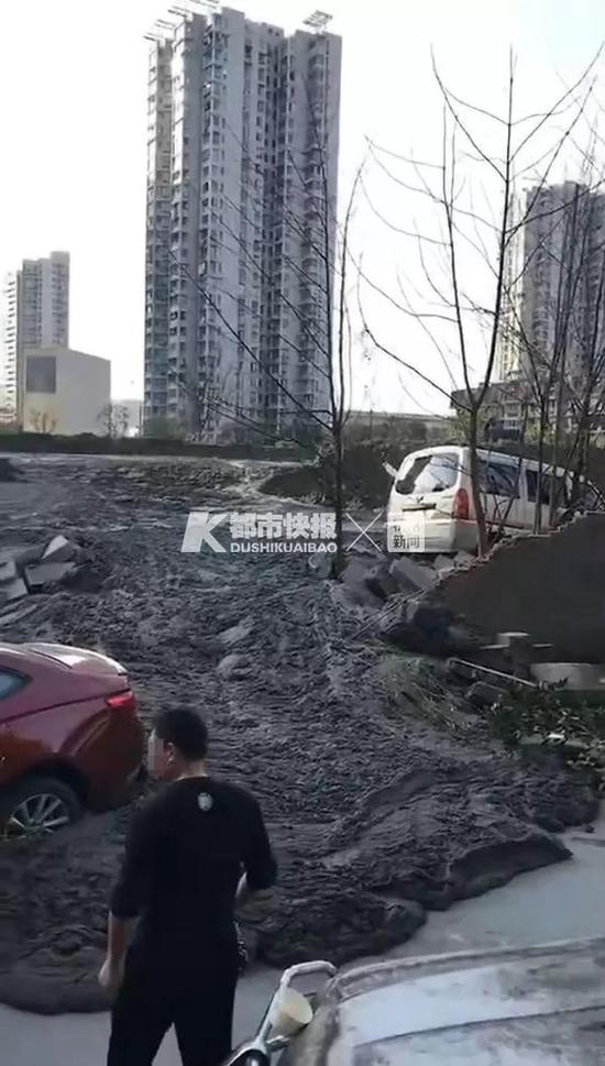 现场视频截图 应女士提供