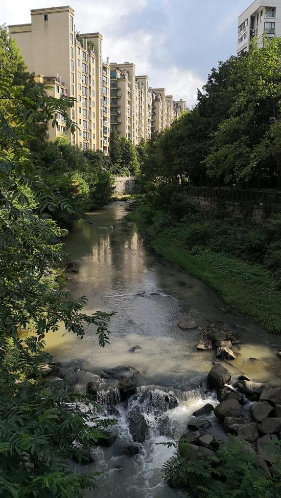 小区边上的上埠河河床不平,水流冲击石头,流水声变成了噪声。