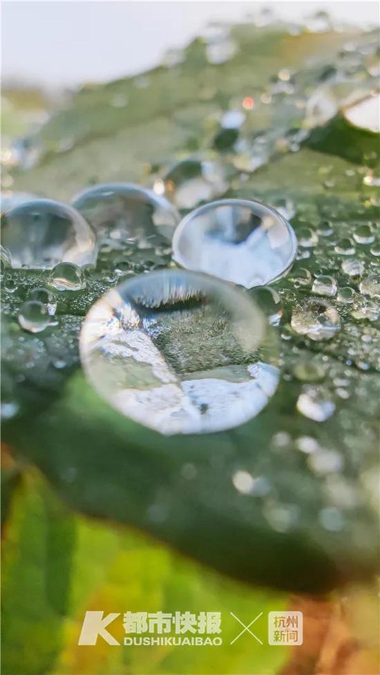 摄影 记者 夏阳