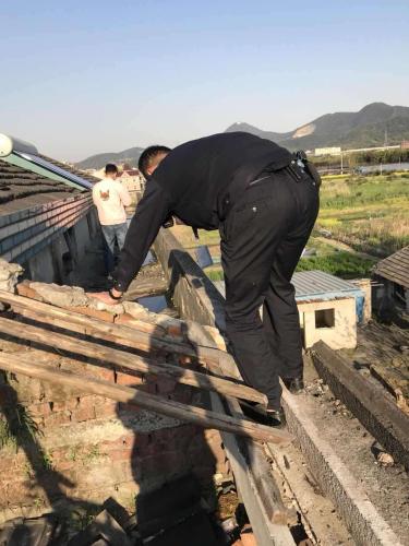 抓捕组当即决定——爬树抓人!