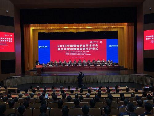 图为开幕式现场 江杨烨摄