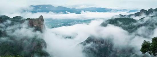 绿色发展乡村振兴 仙居经验带来美丽变化