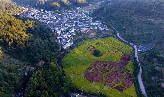 2018乡村振兴·旅游先行高峰论坛在武义召开