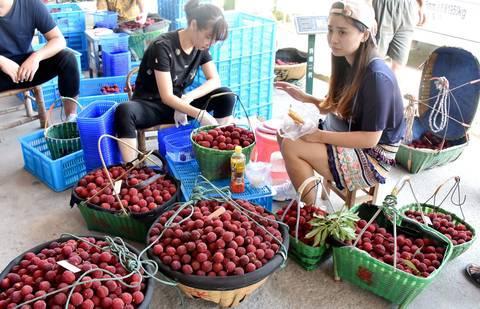 仙居致富果 一小篮杨梅王拍出16800元天价