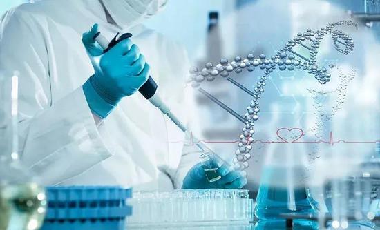 新昌3家企业入选全国医药工业百强榜