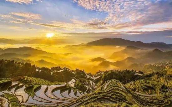 楠溪江畔的茗岙梯田,藏在四周海拔800多米高的大山之中。