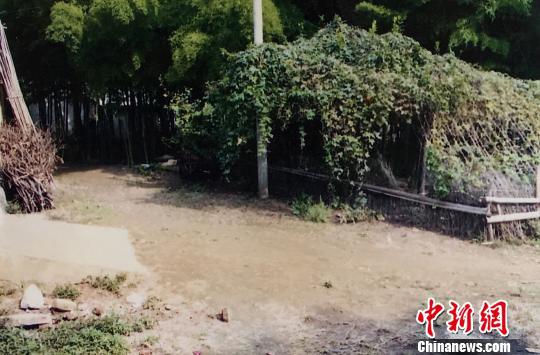 16年前存档照片 张瑛 摄