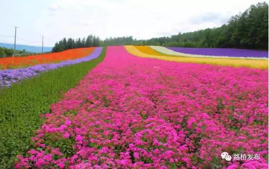 中国农民丰收节文艺汇演在新桥举行