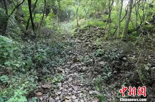图为:竹家岭窑址全景 黄岩区委宣传部提供