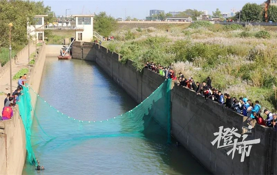 救援队伍在苕溪乌龙涧船闸中间位置拉起渔网，试图将江豚截断在更小的区域内