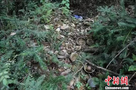 图为:竹家岭窑址废品堆积 黄岩区委宣传部提供