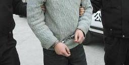 图源网络