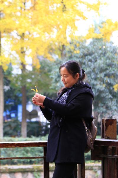 图为:当地市民正在欣赏飘落的银杏叶。王远摄