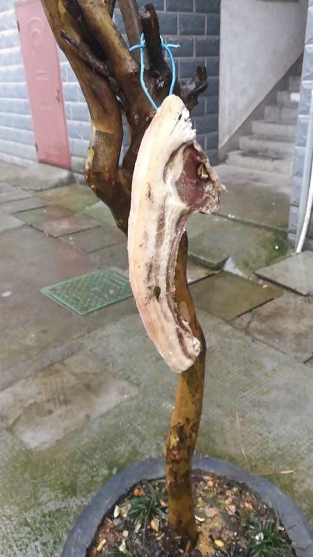 (图:谁家的猪肉吹下来了?)