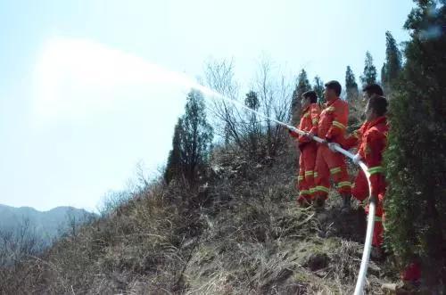 仙居全力推进美丽县城建设 打造美丽中国县域