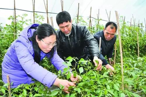仙居十四届党代会二次会议对农业高质量发展提