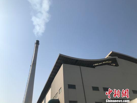 假烟在焚烧厂焚烧后,烟囱冒出的白烟 郭文锐 摄