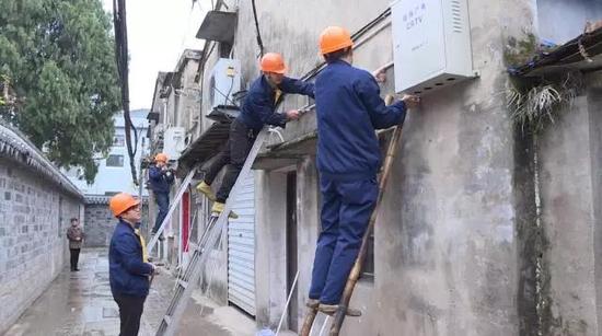 媒集团投资580万清除蜘蛛网 美化环境_台州频