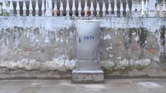 媒集团投资580万清除蜘蛛网 美化环境_台州频