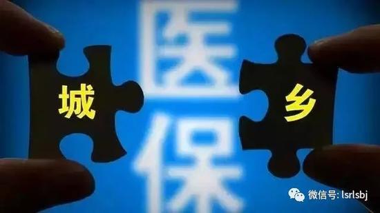 农户发现迷你鸡蛋_浙江省低收入农户(3)
