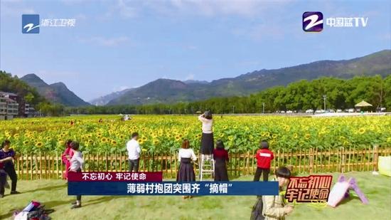 温州永嘉经济总量_温州永嘉东蒙山地图