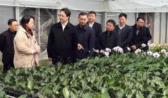 台州市代市长张晓强赴仙居开展调研与走访慰问