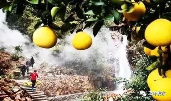 2018年起玉环多地旅游风景区对玉环本地人免