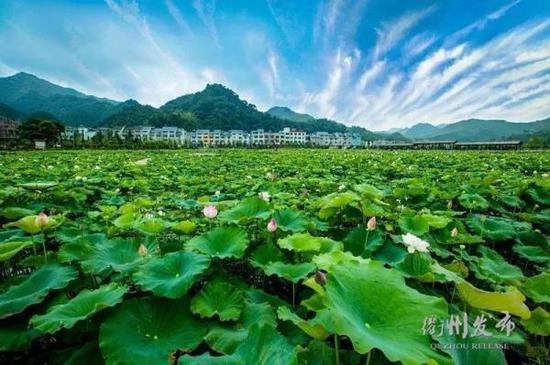 有下列情形之一的应当追究市、县(市、区)政府有关工作部门领导成员的责任: