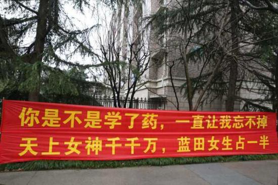 【待我达成小目标后,支付宝密码给你可好?】