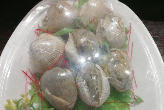 由贝壳化石拼集而成的“化石菜”价值很高 三门县委宣传部提供