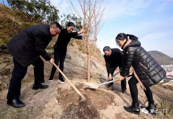 三门县九届二次会议的政协委员参加义务植树活