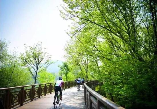 仙居构建现代绿色经济体系 走好高质量绿色发