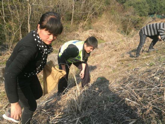 因为五角钱硬币是黄色的,与高速公路边枯草颜色很接近,很难分辨 警方提供