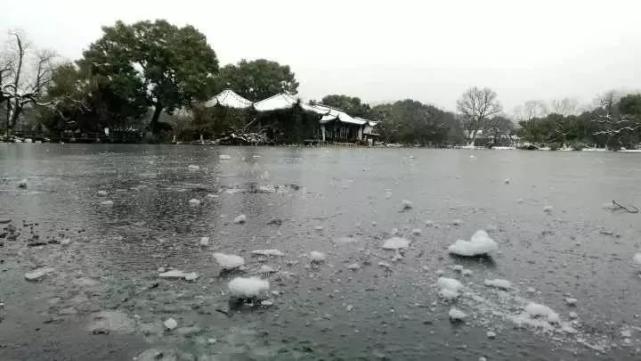 昨天,杭州三潭印月小瀛洲岛内的西湖水域,近3万平方米结冰。江志清/摄