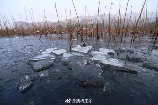 网友@吉吉