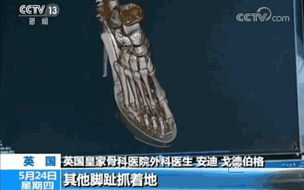 图自央视新闻