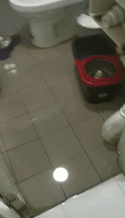 郭先生家满是积水