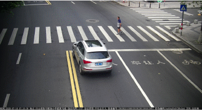 这两辆车没有礼让斑马线被曝光