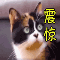 台州温岭松门一男子零首付购手机 分期还款被