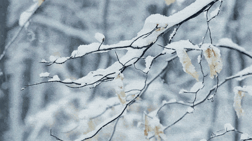 截止今天(28日)08时积雪深度