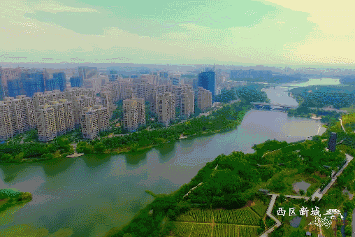 有下列情形之一的应当追究相关县(市、区)党委和政府有关领导成员的责任: